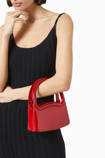 Mini Luciana Frame Bag in Calf Leather