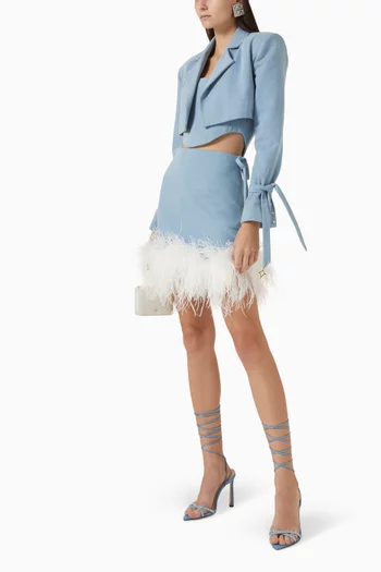 Mini Skirt in Denim