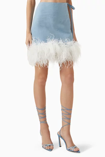 Mini Skirt in Denim