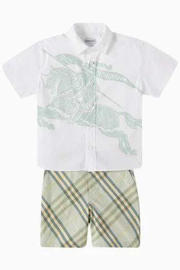 Check Bermuda Shorts in Cotton-poplin
