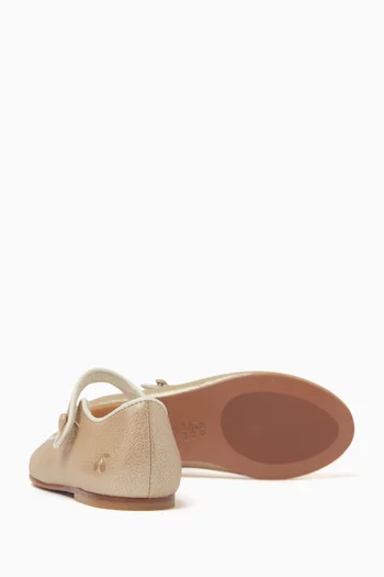 Ella Ballerinas in Leather