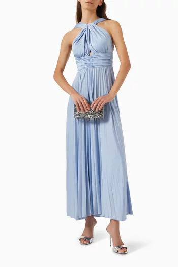 Glassa Pleated Maxi Dress in Jersey