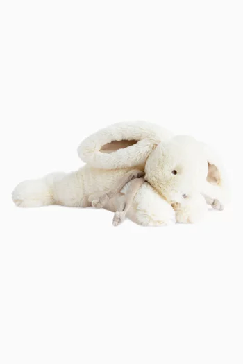 Prince Bear Soft Toy