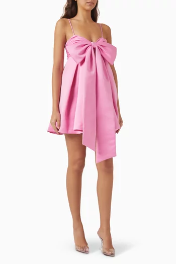 Rose Baby Doll Mini Dress
