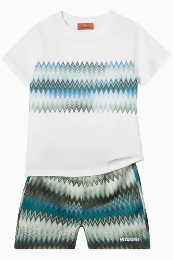 Chevron Print Swim Shorts in Nylon