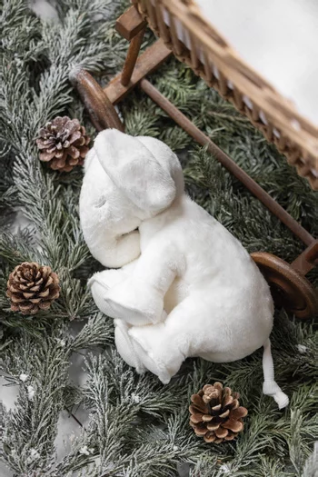 Ferdinand Sleeping Plush Toy