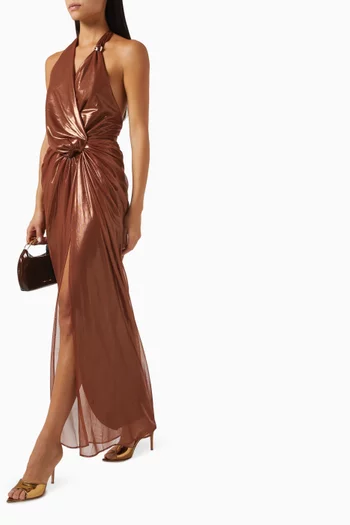 Liz Maxi Dress in Lycra
