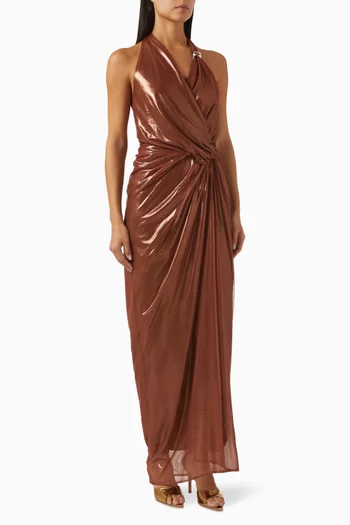 Liz Maxi Dress in Lycra