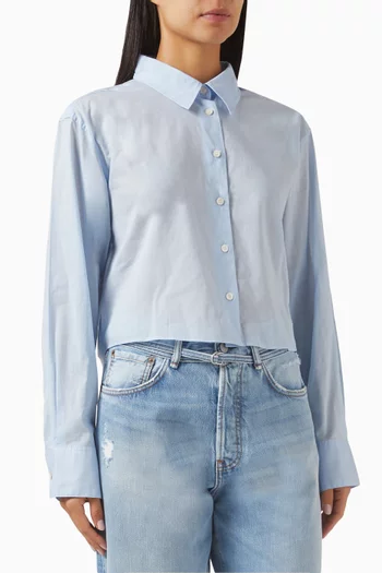 Sheer Ruffle Blouse