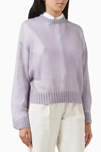 Monili Semi-sheer Sweater in Mohair Blend