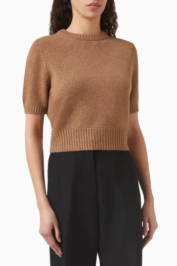 Elsie Sweater in Knit