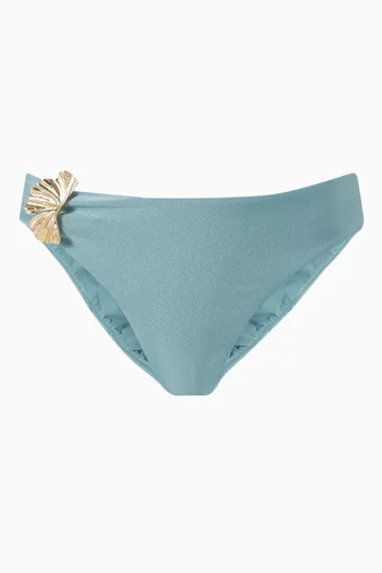 Seashell Bikini Briefs in Lycra
