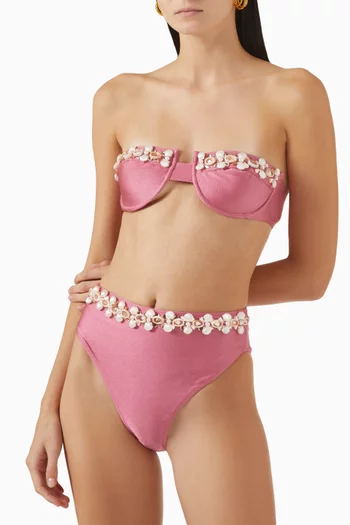 Seashell Embroidered Bikini Briefs in Lycra