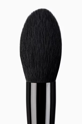 Pro Powder Brush