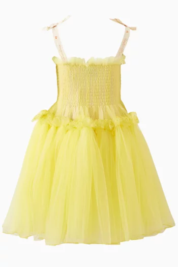 Nikola Flared Dress in Mesh