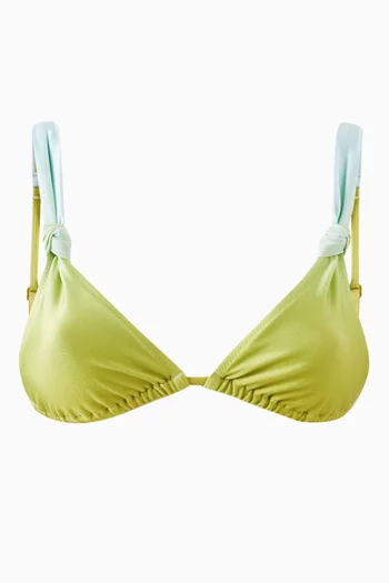 The Ellery Ombre Bikini Top
