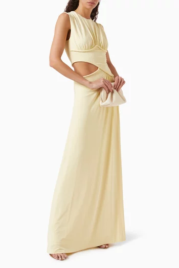 The Sierra Maxi Dress in Cupro