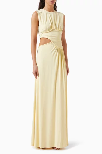 The Sierra Maxi Dress in Cupro