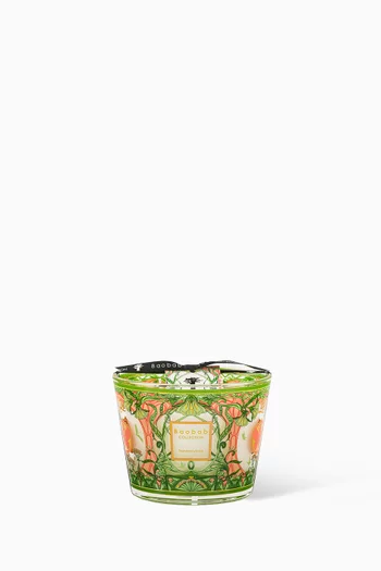 Max 10 Tomorrowland 2024 Candle, 500g