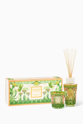 My First Baobab Gift Box Tomorrowland 2024