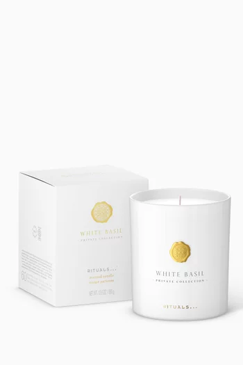White Basil Scented Candle, 360g