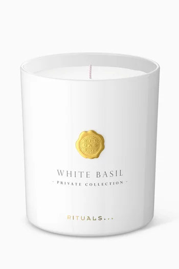 White Basil Scented Candle, 360g