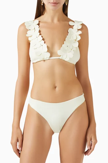 Classic Bikini Briefs in Stretch-nylon