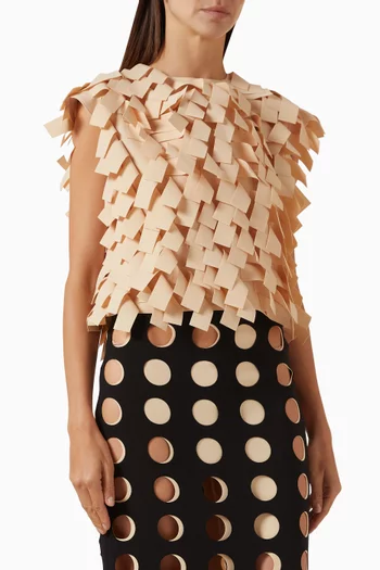 Multi-rectangle Top