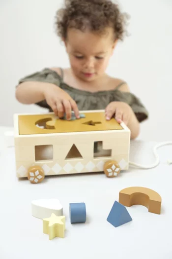 Shape Sorter Pull Cart
