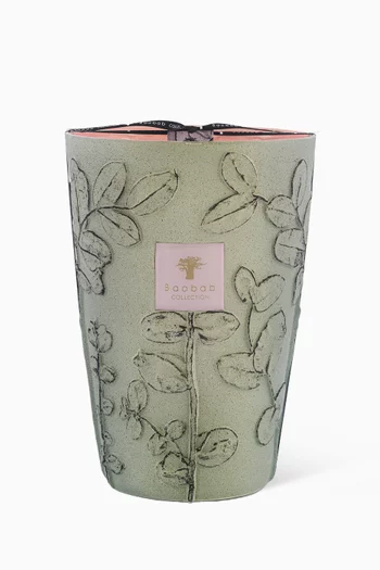 Max 35 Folia Maquis, 6500g