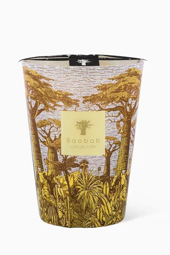 Max 24 Sacred Trees Cocody, 3000g