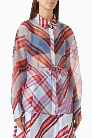 Oversized Sheer Stripe Shirt in Organza