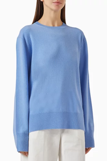 Crewneck Knit Sweater in Cashmere