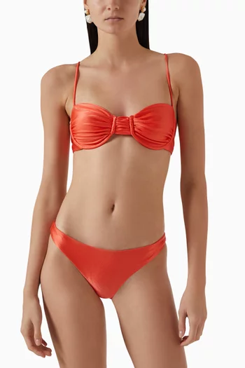 Most Wanted Bikini Briefs