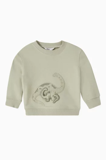 3D Dinosaur Sweatshirt
