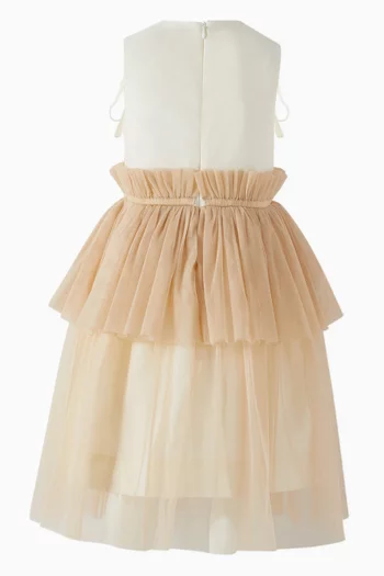 Princess Ruched Dress in Tulle