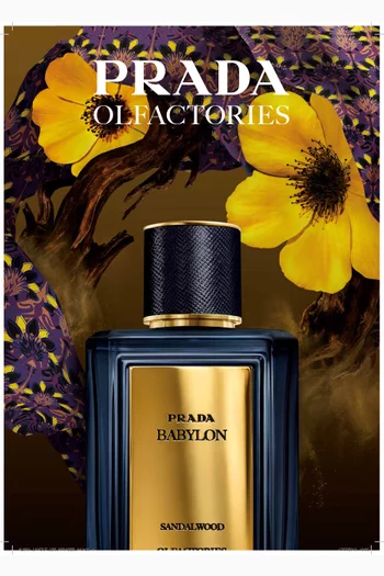 Babylon Eau De Parfum, 100ml
