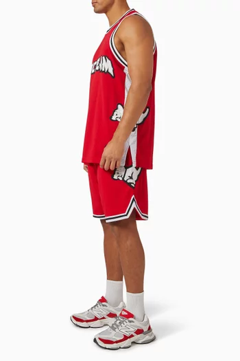 Running Puppy Appliqué Basketball Shorts in Mesh