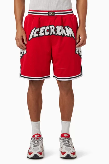 Running Puppy Appliqué Basketball Shorts in Mesh