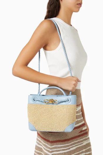 Small Andiamo Top-handle Bag in Raffia & Leather