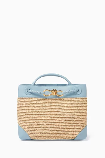 Small Andiamo Top-handle Bag in Raffia & Leather