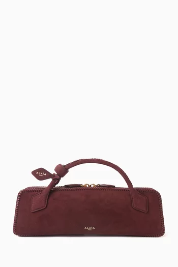 Le Teckel Clutch Bag in Suede