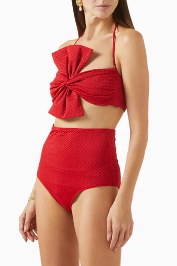 Ara Bikini Briefs
