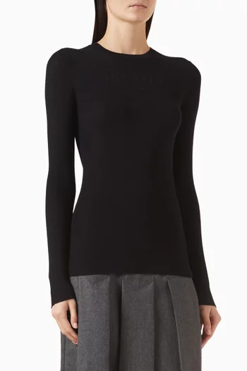 Crewneck Sweater in Virgin Wool