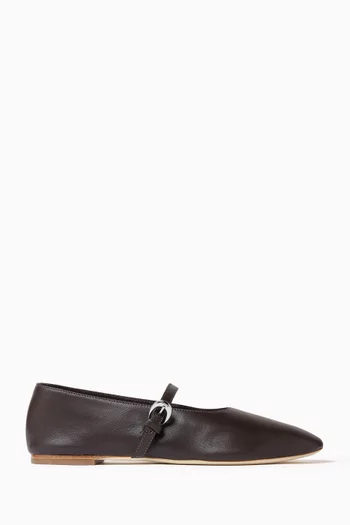 Alba Mary Jane Ballet Flats in Lamb Leather