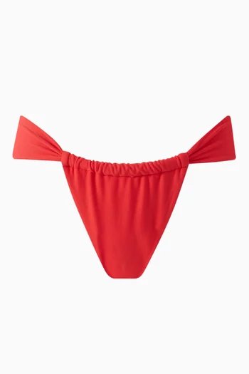 Sandra Bikini Briefs in Lycra