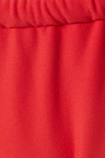 Sandra Bikini Briefs in Lycra