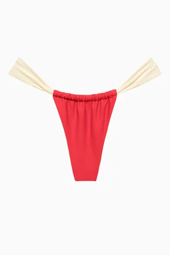 Sandra Bikini Briefs in Lycra
