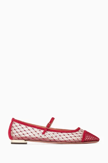 Juliette Embroidered Ballet Flats in Mesh
