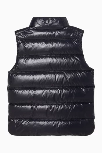 Logo Gilet Vest